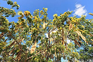 真要来了？传闻《银河战士Prime 4》测试工作已完成