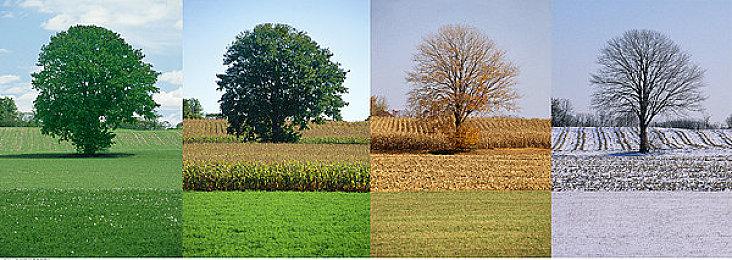 《塞尔达传说：御天之剑HD》预告“英雄崛起” 7月16日发售